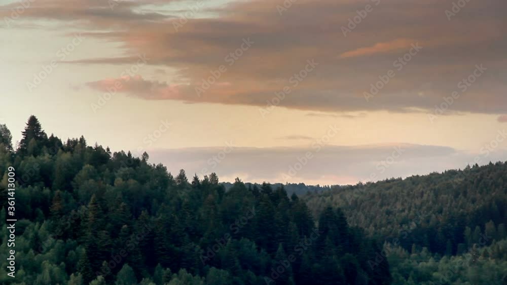 a landscape of the spruce forest at carpathian mountains, national park Skolivski beskidy, Lviv region of Western Ukraine a landscape of the spruce forest at carpathian mountains, national park Skolivski beskidy, Lviv region of Western Ukraine