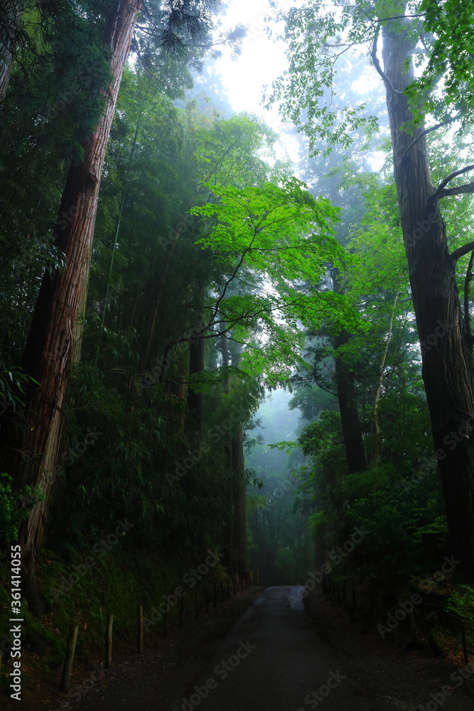 Obraz premium 世界遺産 霧の中尊寺