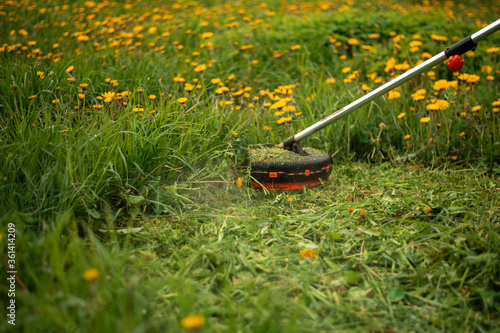 Bild auf Leinwand Mowing grass with an electric trimmer