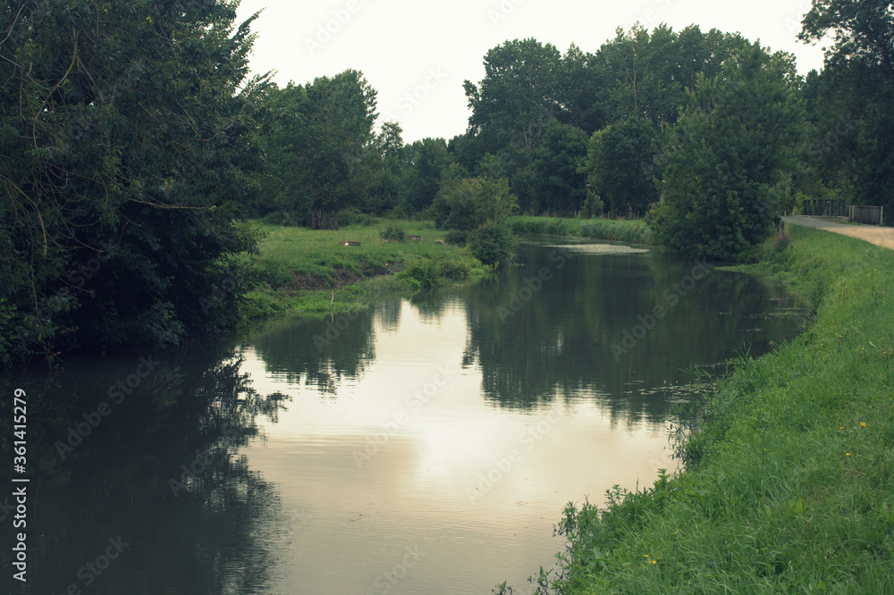 paysage de canaux du marais poitevin , la venise verte paysage de canaux du marais poitevin , la venise verte