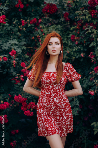 Beautiful red-haired girl in a short red dress. Posing in the summer in the garden with flowers roses