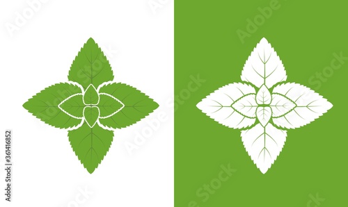 Peppermint mint isolated on white. Flat vector illustration.