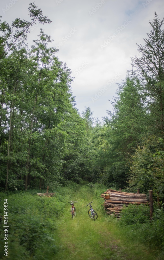 Two mountain bikes in forest, couple or friends riding bike, summer activities concept Two mountain bikes in forest, couple or friends riding bike, summer activities concept