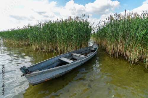 Summer scenery with wooden fishing boat hidden between green reeds on the lake.