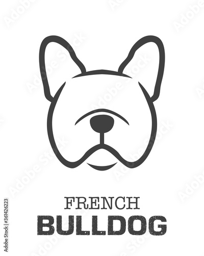 Dog  hand drawing pattern. French bulldog vector cartoon wallpaper isolated black and white.