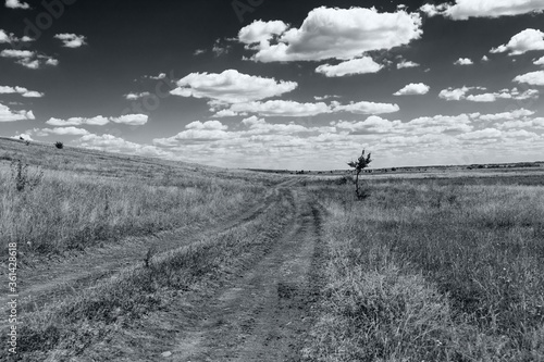 Dirt road through the field in summer on a sunny day. Black and white poster.