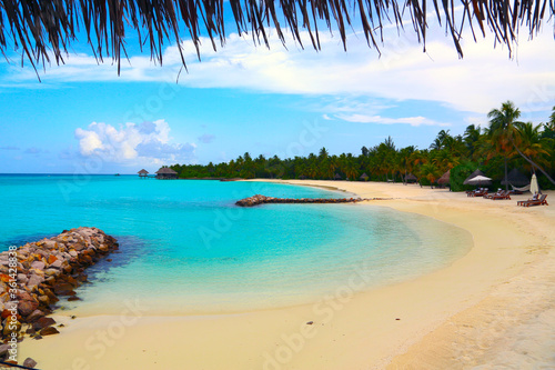 A beach with palm trees and a pool of water