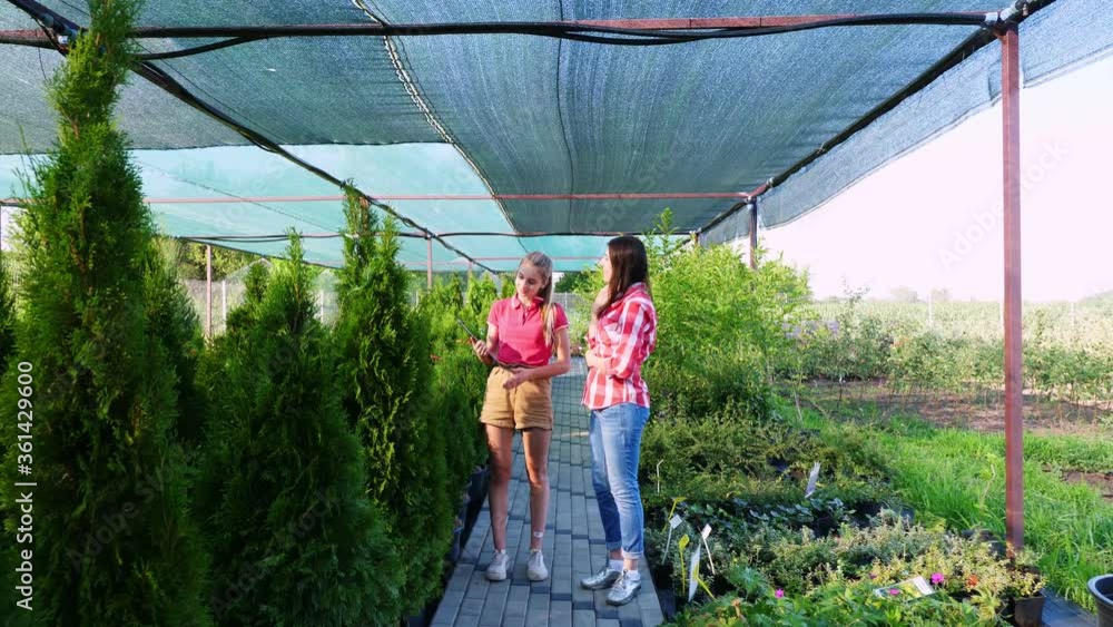 Buyer and florist have a friendly conversation in floristic greenhouse market. Woman choosing plants to buy in garden shop. business and shopping. floristry, gardening. Buyer and florist have a friendly conversation in floristic greenhouse market. Woman choosing plants to buy in garden shop. business and shopping. floristry, gardening.