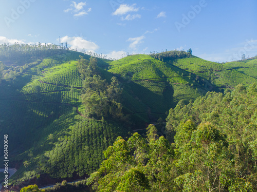 Aerial view of tea plantations near the city of Munar. India. photo