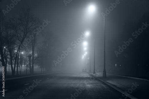 Fototapeta Naklejka Na Ścianę i Meble -  night road in fog, long exposure, black and white, dark image