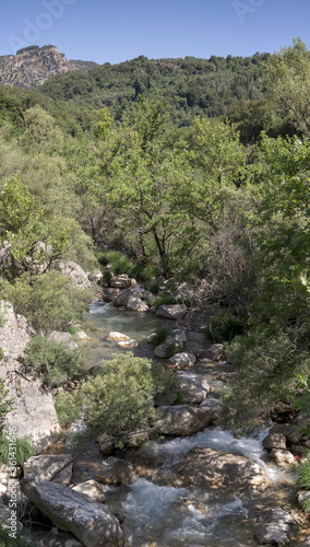 View of the mountain river in the morning ( river Lyusios, district Arcadia, Peloponnese, Greece)