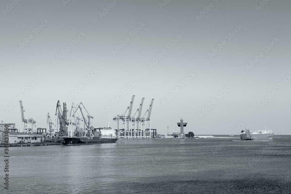 harbor cranes in sunny weather