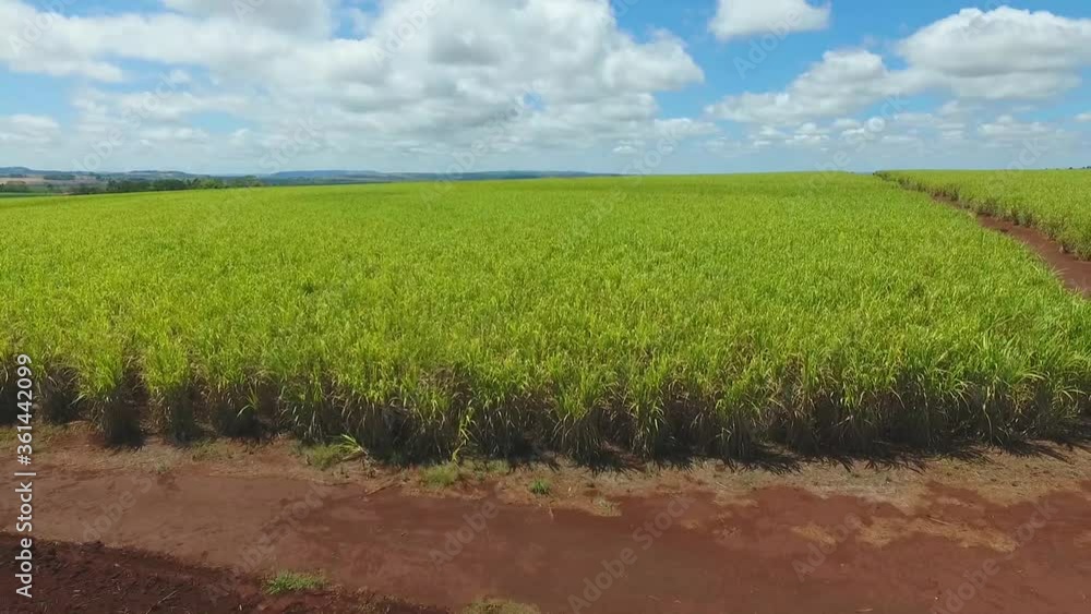 aerial image of Brazil's agricultural plantation aerial image of Brazil's agricultural plantation