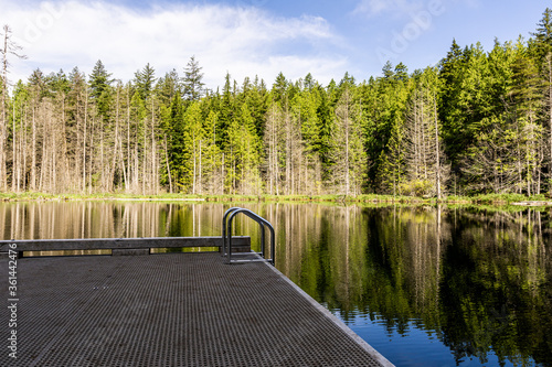 beautiful small White lake surraunded by tall forest in british columbia Canada. photo