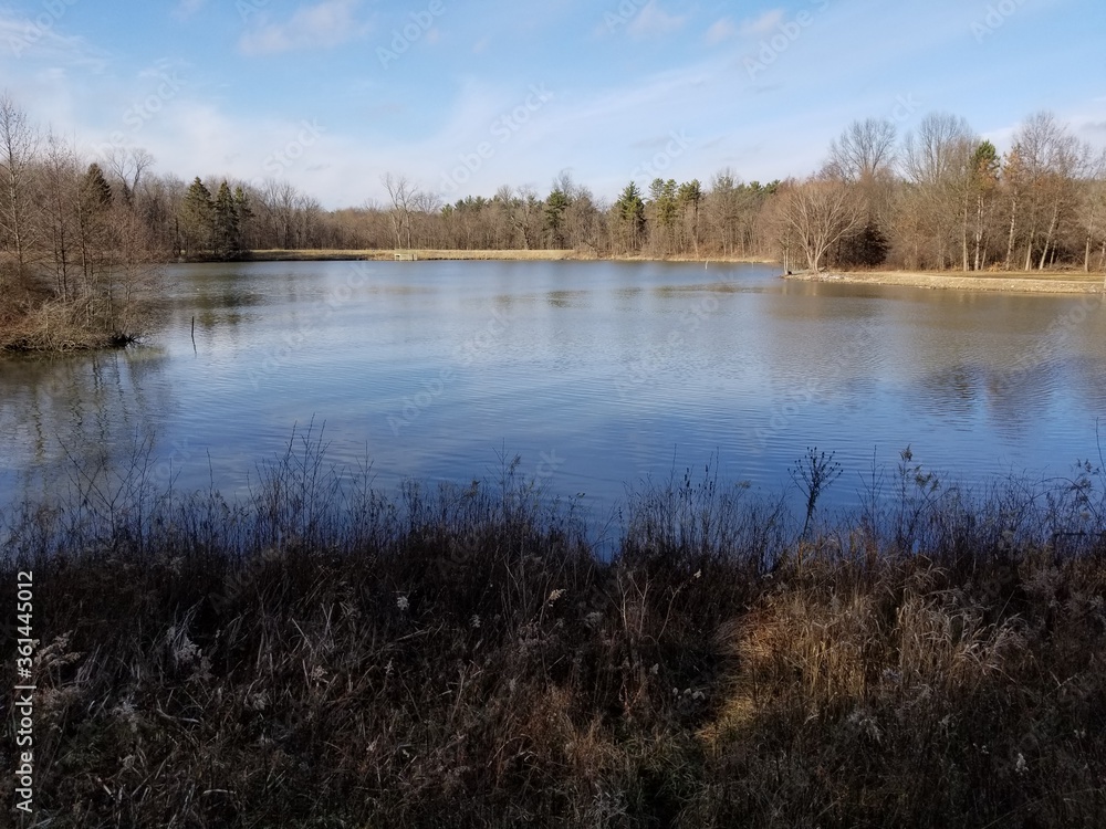 Scenic lake in public park area on sunny day