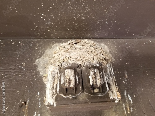 Outdoor electrical outlet covered in bird droppings photo