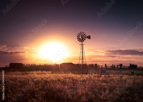 An old farm with a windmill at sunset on the eastern plains of Colorado. There are a few cows in the foreground near the windmill. The sky is very orange.