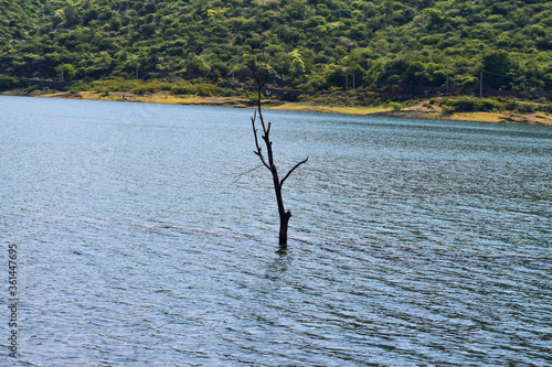 Natural View of Lake Udaipur