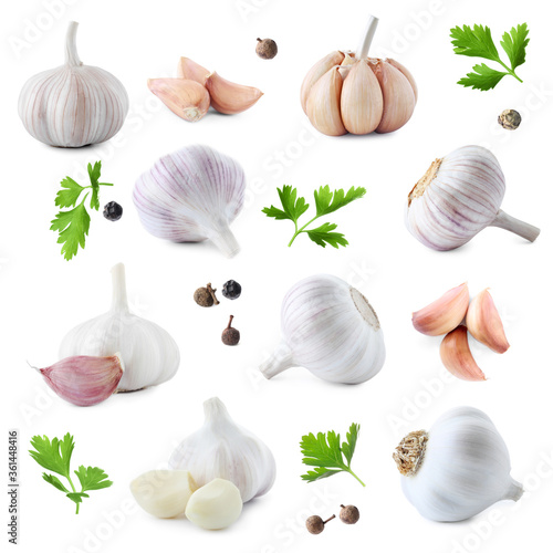 Fototapeta Naklejka Na Ścianę i Meble -  Set of fresh garlic and different seasonings on white background
