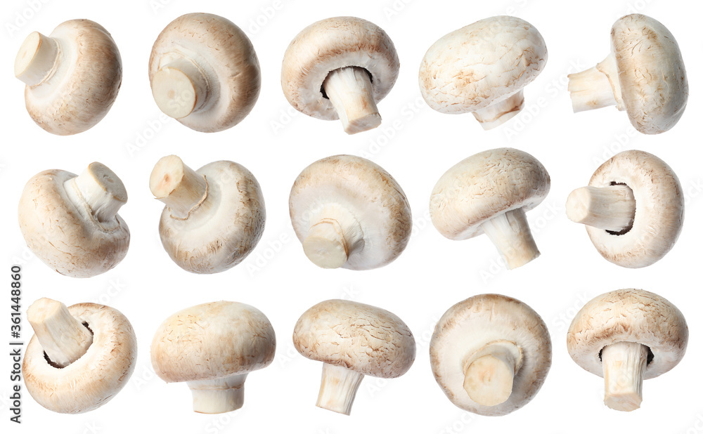 Set with fresh champignon mushrooms on white background Set with fresh champignon mushrooms on white background