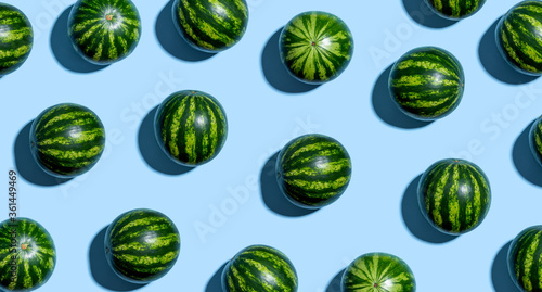 Whole watermelons arranged on a blue background