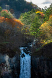 紅葉の森から崖を流れ落ちる滝／華厳滝（日光市）