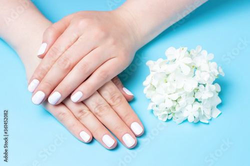 Women's hands with white manicure and flowers on blue background