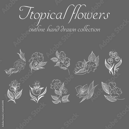 Tropical flowers. Outline hand drawn bundle. Outline vector collection for decorative design. Doodle line graphic design. Hand drawn vector set. Exotic flowers. Freehand illustration set