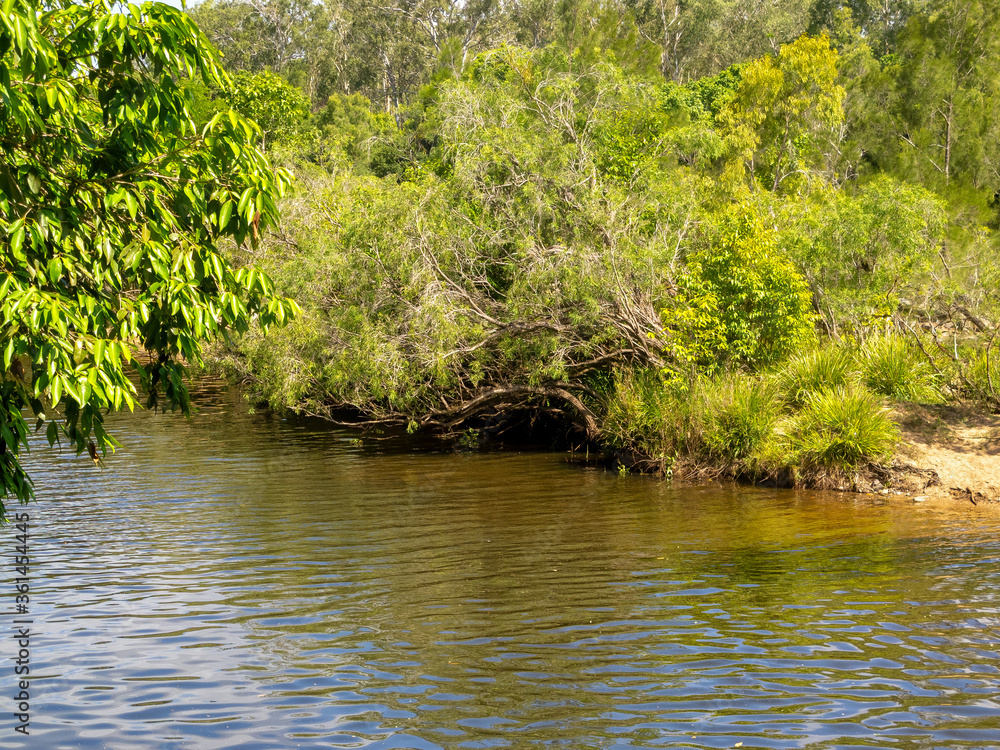 The Barron River near Kuranda in Tropical North Queensland, Australia The Barron River near Kuranda in Tropical North Queensland, Australia