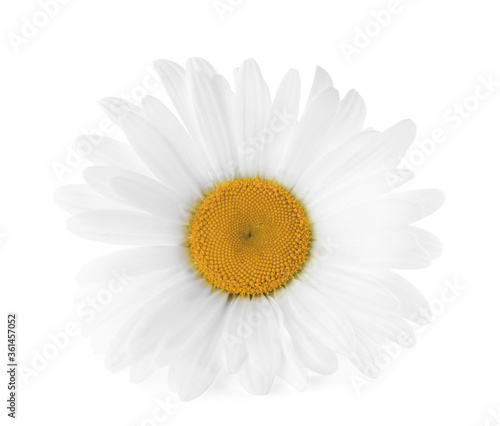 Beautiful fragrant chamomile flower isolated on white © New Africa