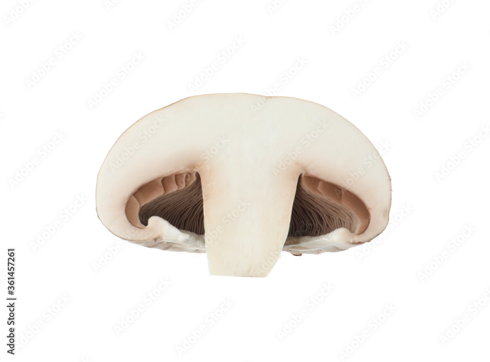 Fototapeta premium Slice of champignon mushroom isolated on white