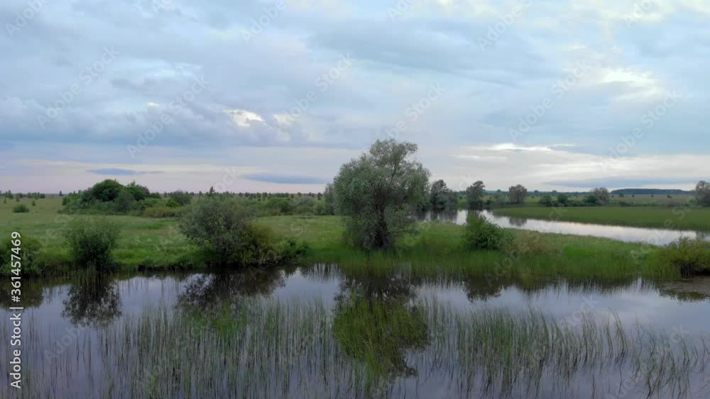 River Bend Among Green Grass