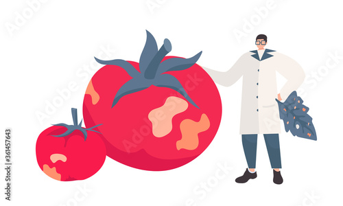 Tomato brown rugose virus (ToBRFV) or Tobamovirus. It causes yellow to brown colored wrinkled, necrotic spots on the fruit. Symptoms finding, testing lab, quality inspector or virologist. Isolated.
