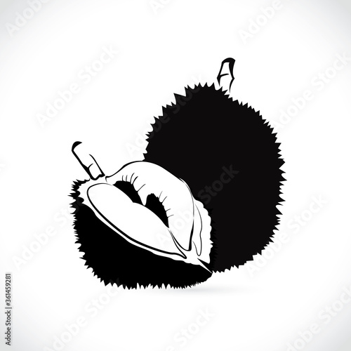 Vector of durian, logo and icon durian isolated on the white background.