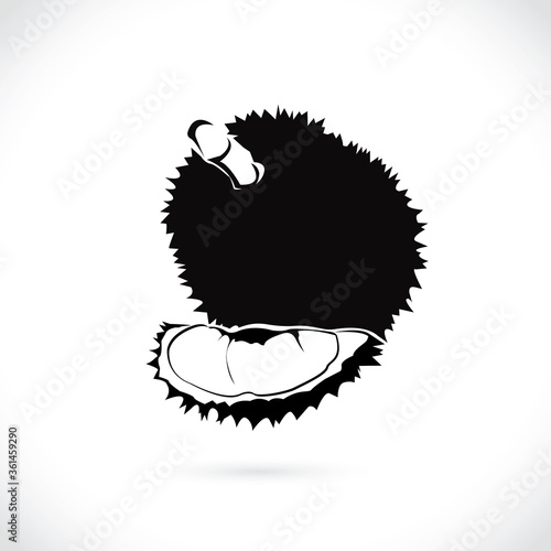 Vector of durian, logo and icon durian isolated on the white background.