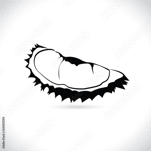 Vector of durian, logo and icon durian isolated on the white background.