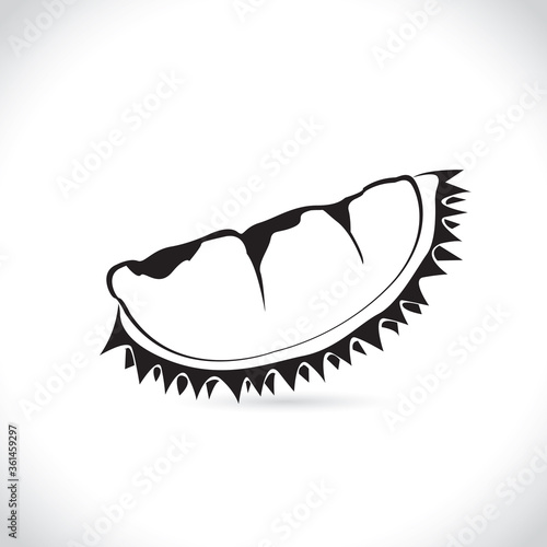 Vector of durian, logo and icon durian isolated on the white background.