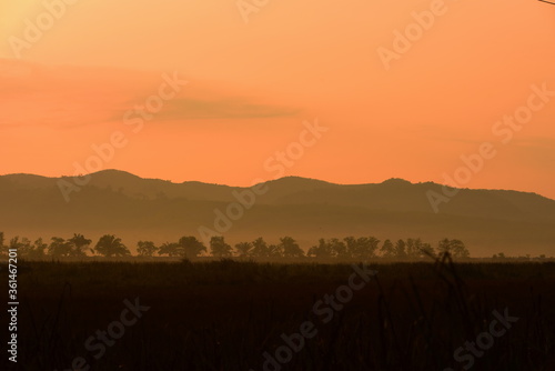  Picture of a sun setting behind a dense forest area followed by mountains. 