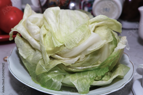 Preparing stuffed cabbage, Polish cuisine specialty.