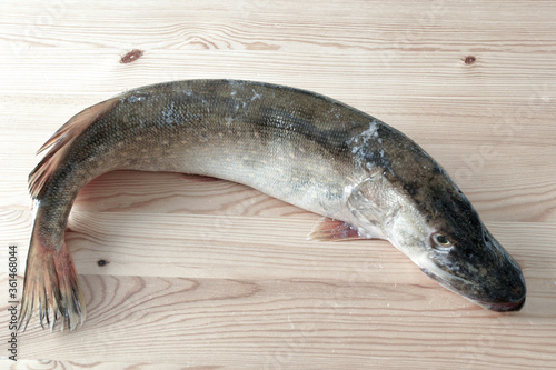 Fish pike.