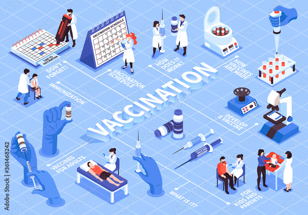 Vaccination Calendar Isometric Flowchart Vaccination Calendar Isometric Flowchart