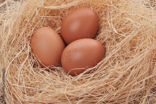 Eggs are very high in nutrients.