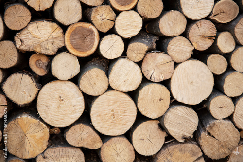 Cross section of the timber  firewood stack for the background. A lot of cutted logs. Stack of sawn logs. Natural wooden decor background. Pile of chopped fire wood prepared for winter.