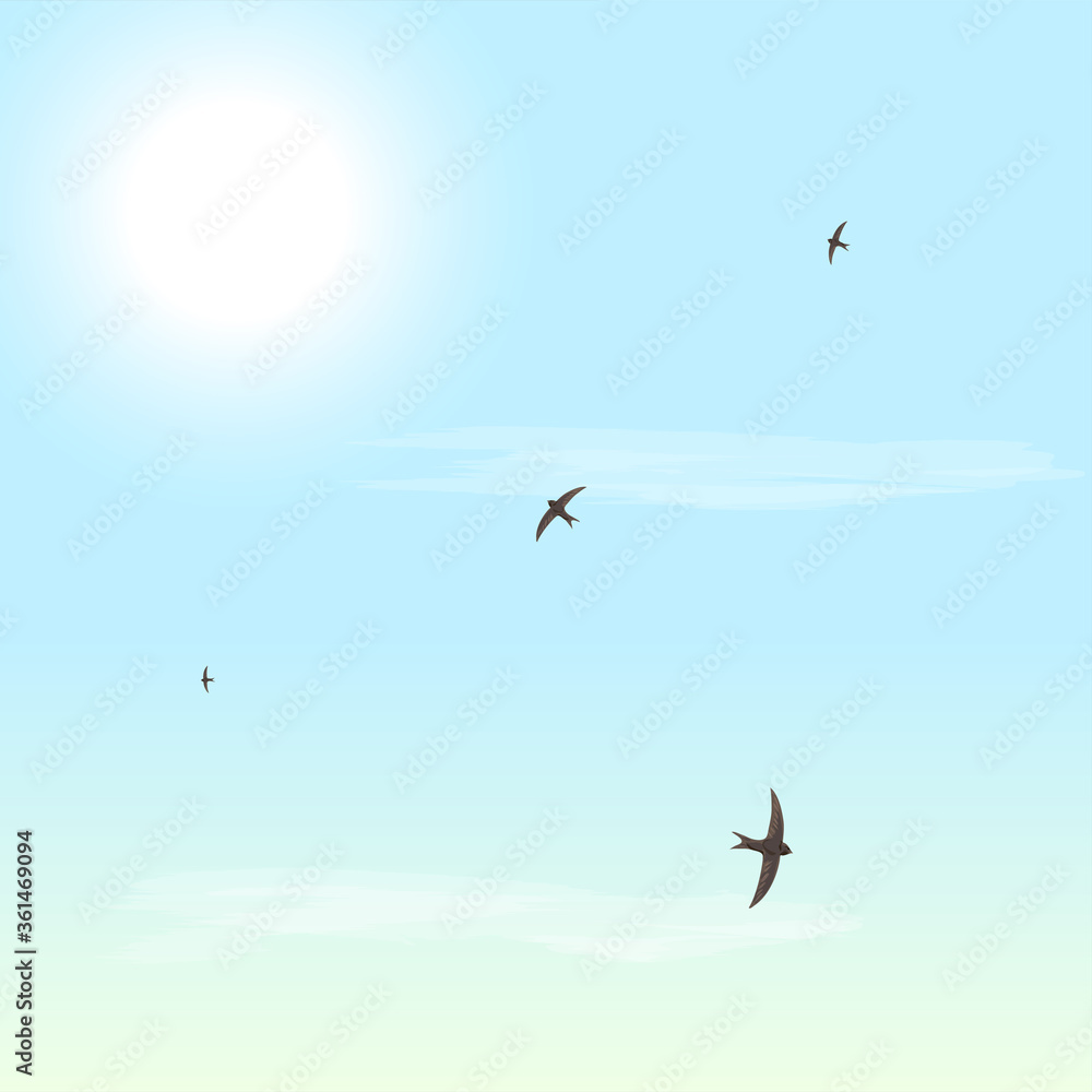 Fototapeta premium Summer time. Sunny day. Sun, clouds, bird, swift, sky. Vector illustration.