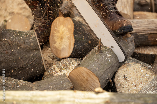 Chainsaw in action cutting wood. Man cutting wood with saw, dust and movements. Chainsaw. Close-up of woodcutter sawing chain saw in motion, sawdust fly to sides.