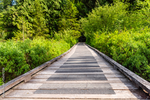 wooden road between green bushes stretching forward