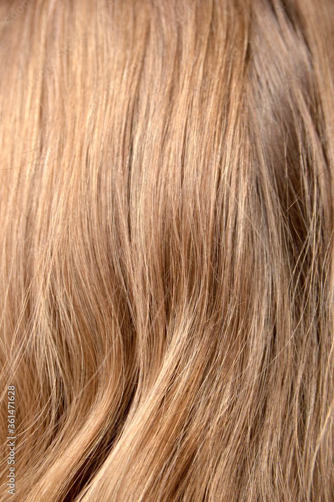 texture of natural long straight blond hair texture of natural long straight blond hair