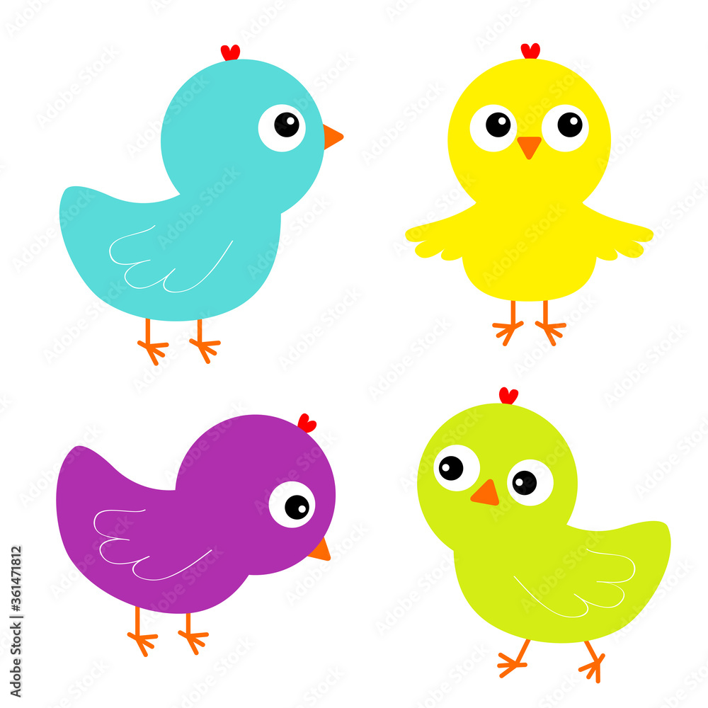 Colorful bird set icon. Face head. Chicken chick. Cute cartoon funny kawaii baby character. Happy Easter. Friends forever. Greeting card. Flat design. Isolated. White background.