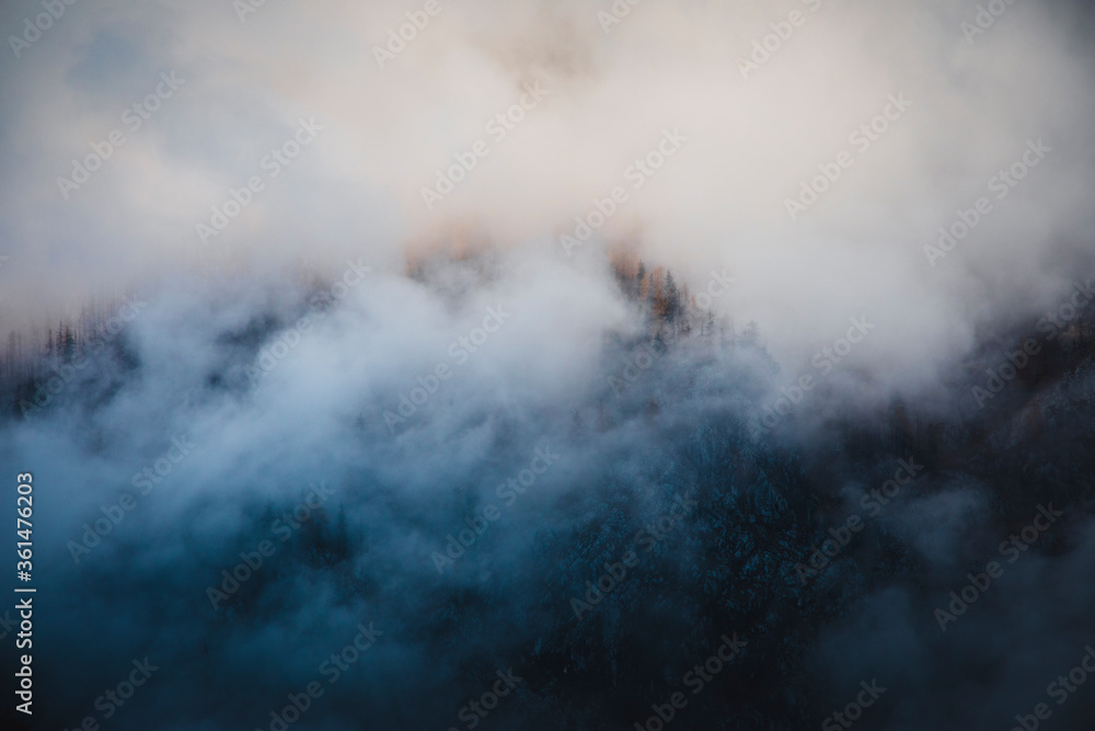 A beautiful view of misty forests as viewed from the spring of Kamniška Bistrica river in Slovenia