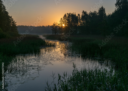 morning landscape with lake, green grass in the foreground, sunrise on the lake, summer
